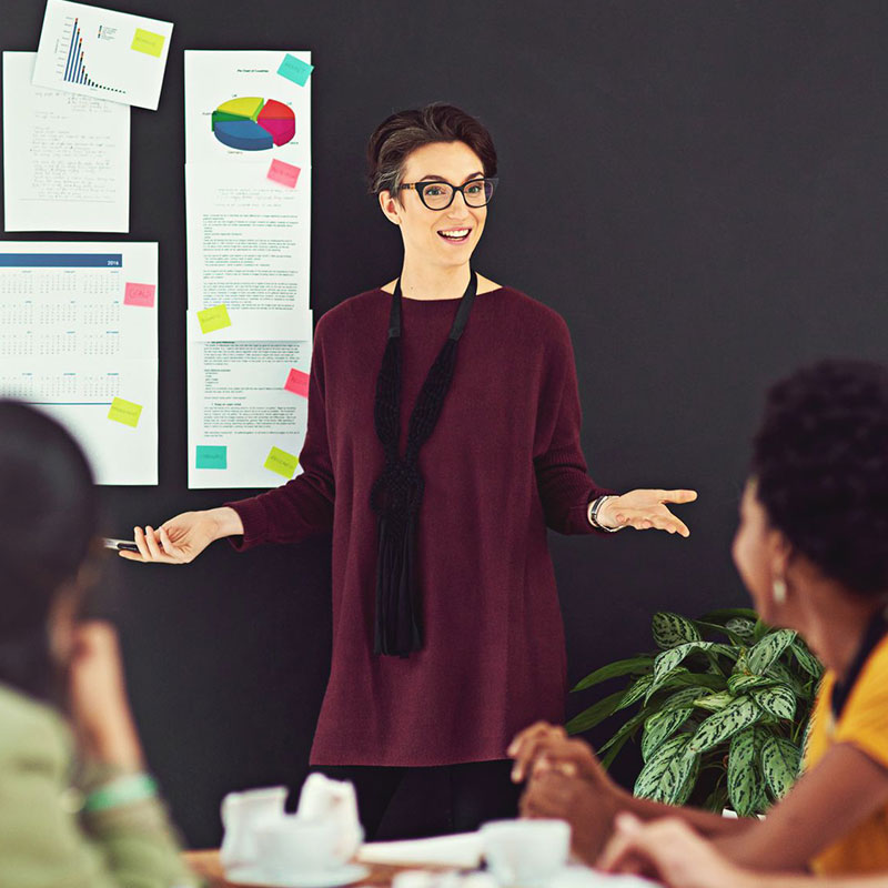 Lady presenting to practitioners