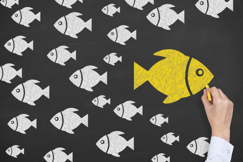 Fish standing out concept